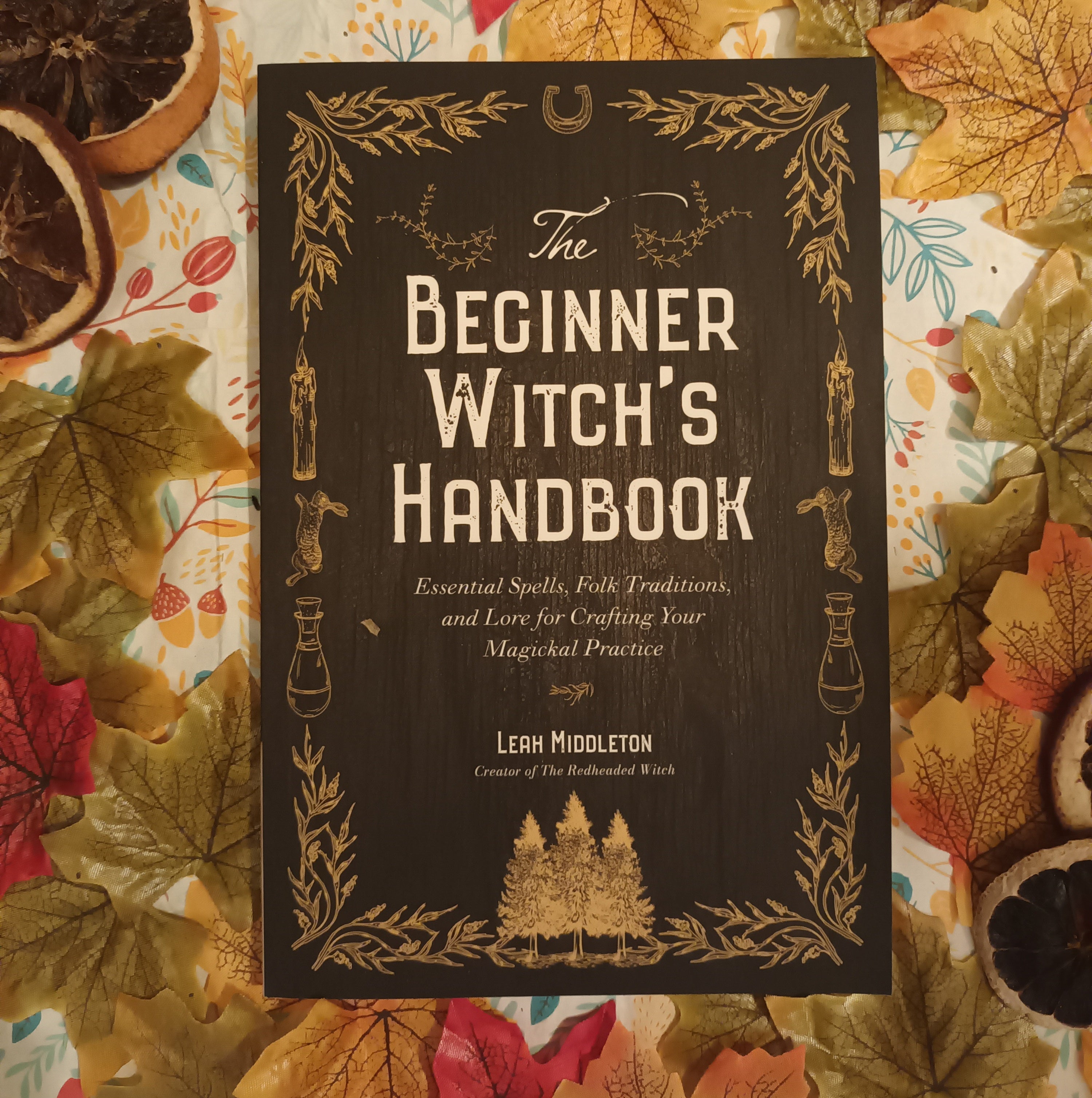 The Beginner Witch's Handbook, paperback