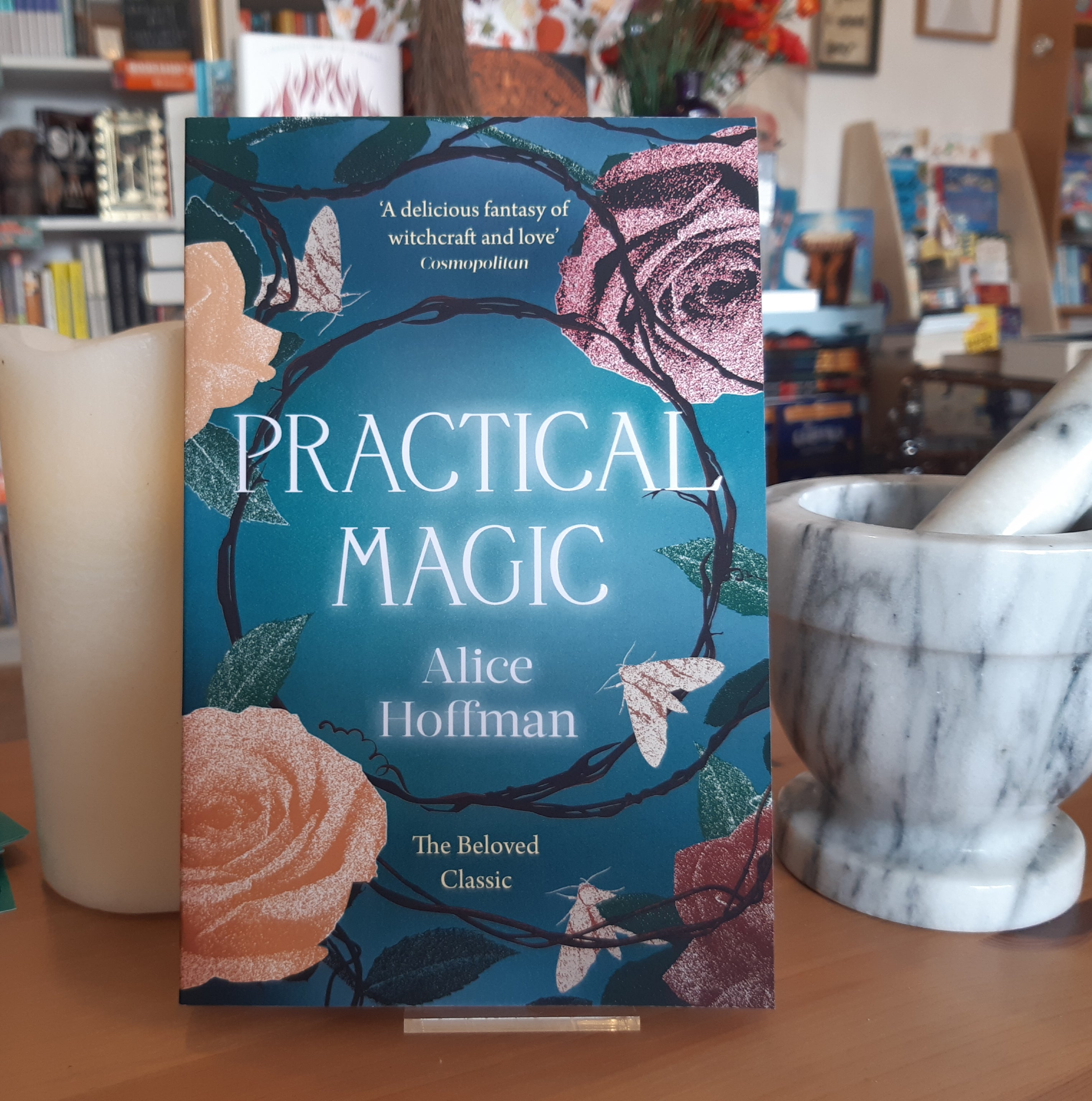 Practical Magic by Alice Hoffman Paperback book