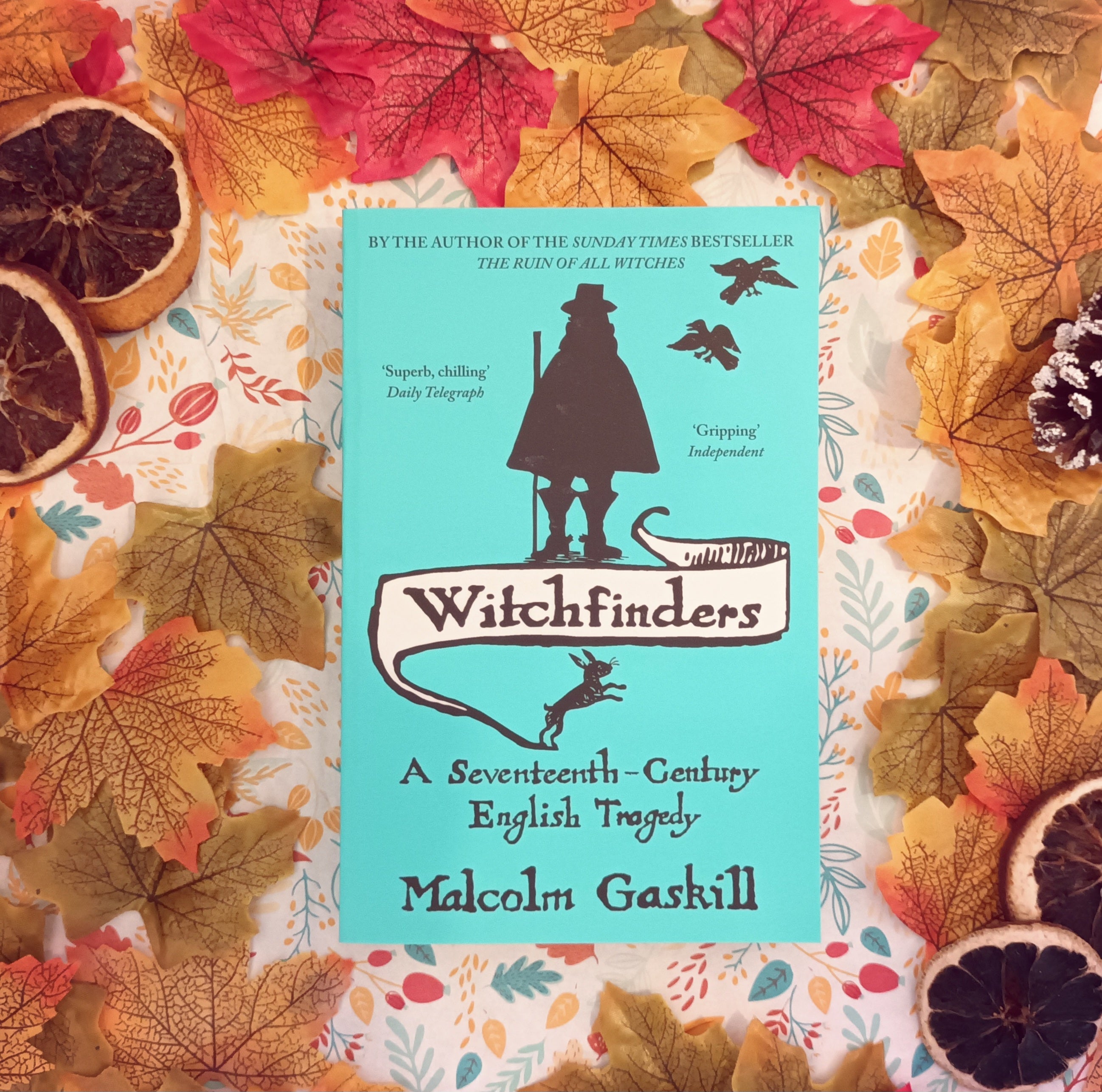 Witchfinders, paperback